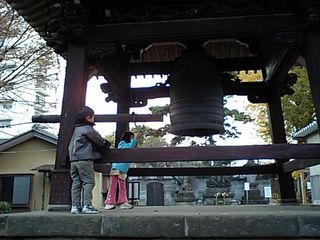 CA340239.jpg