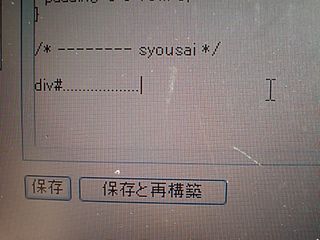 CA340229.jpg